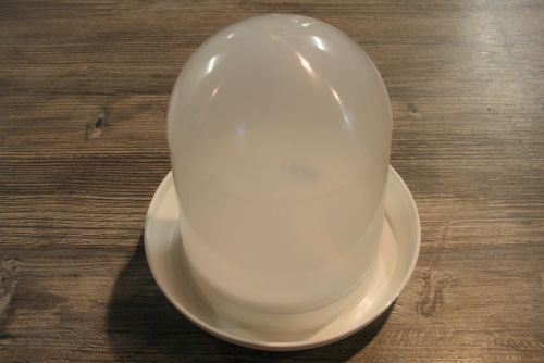 This is picture 1