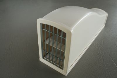 This is picture 1