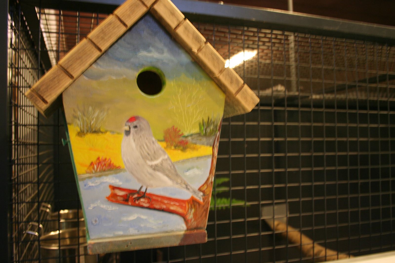 This is picture 1