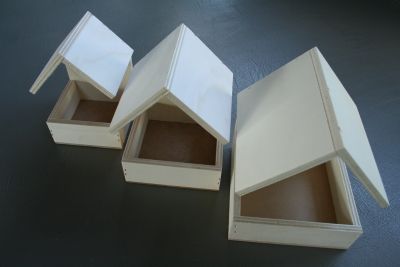 This is picture 1
