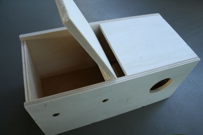 This is picture 1