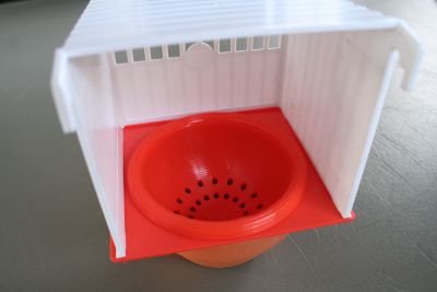 This is picture 1