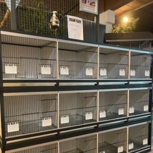 Kooien antraciet b168 x h40.7 x d40cm met 3 uitneembare tussenschotten