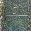 paneel  groen alu  102 x 200 cm met acp morsrand en groene draad 12,7 x 12,7mm