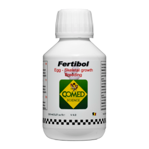 Fertibol duif