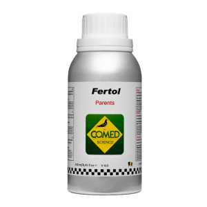 Fertol duif