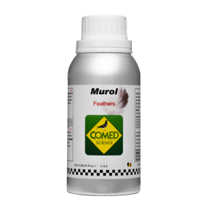 Murol duif