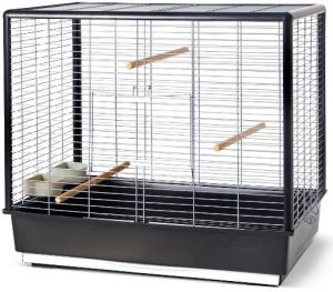kooi zwart svkd noah 60