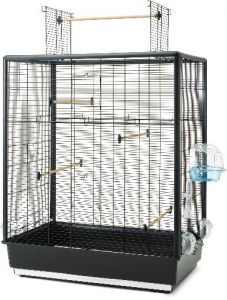 kooi zwart  scpr 60