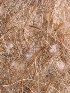 sisal fibre mix