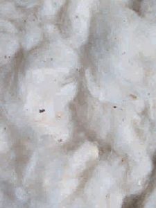 sisal fibre katoen
