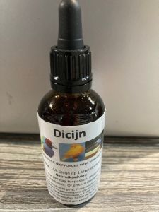 Dicijn